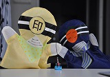 市川三郷レンジャー 市川三郷レンジャー