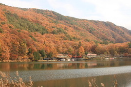 四尾連湖の紅葉