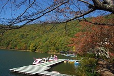 四尾連湖の紅葉