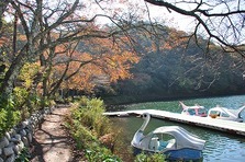 四尾連湖の紅葉