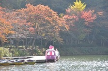 四尾連湖の紅葉