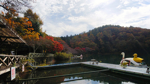 四尾連湖の紅葉