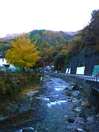芦川渓谷の紅葉