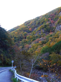 芦川渓谷の紅葉