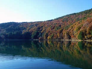 四尾連湖の紅葉