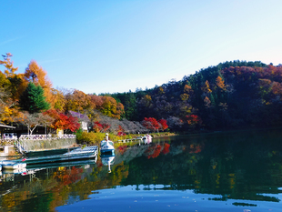 四尾連湖の紅葉