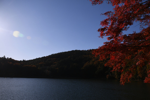 四尾連湖の紅葉