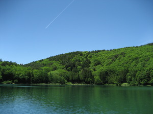 夏