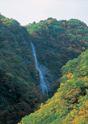千波の滝初秋