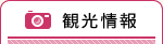 観光情報