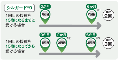 一般的な接種スケジュール