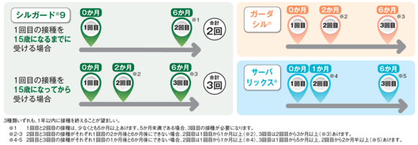 一般的な接種スケジュール