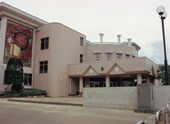市川小学校