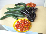 収穫した野菜