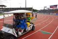 カートに乗ってPRするぽんぽん
