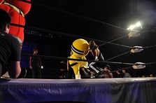 プロレスラー鷹木信吾さんの応援