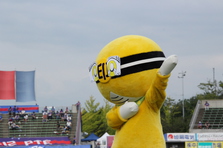 ヴァンフォーレサンクスデー4