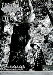 広報11月号
