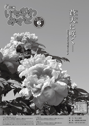 2018-06