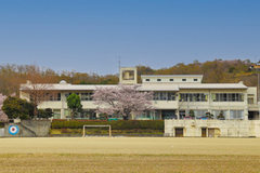 市川南小学校