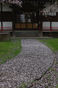特別賞「神様の通る道」