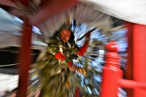 入選「未来へ続け」