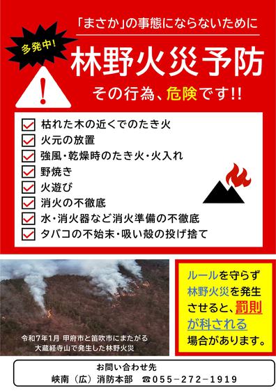 シェイクアウト