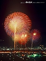 花火19