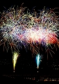 花火22