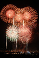 花火20