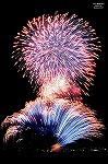 第24回　神明の花火大会