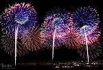 花火9