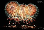 花火11