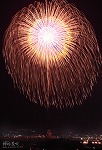 花火14