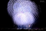 花火16