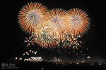 花火28