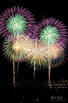花火36