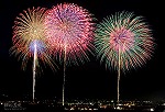 花火41