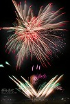 花火81