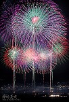 花火86