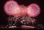 花火94