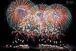 花火100