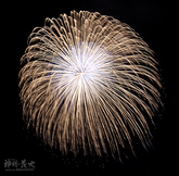 花火13
