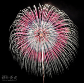 花火14