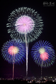 花火16