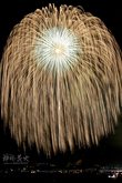 花火46