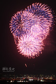 花火14