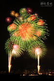 花火19