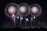 花火66