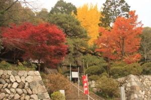 光勝寺の紅葉